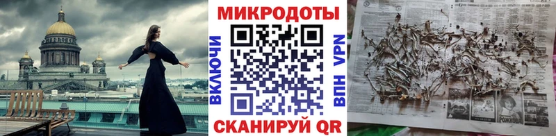 купить наркоту  Томари  Галлюциногенные грибы Cubensis 